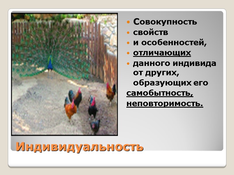 Индивидуальность  Совокупность  свойств  и особенностей, отличающих  данного индивида от других,